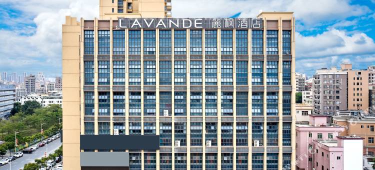 麗枫酒店(东莞虎门居岐公园店)图片