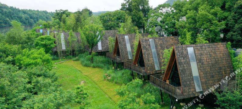 婺源树小蛙度假酒店图片