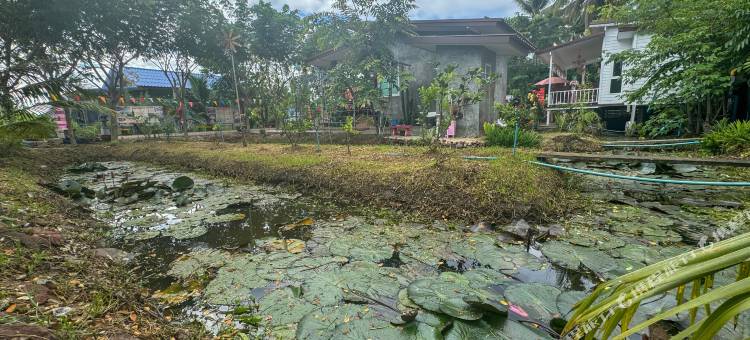 托拉尼泰民宿安葩洼(OYO 75508 Toraneethai Homestay Amphawa)图片