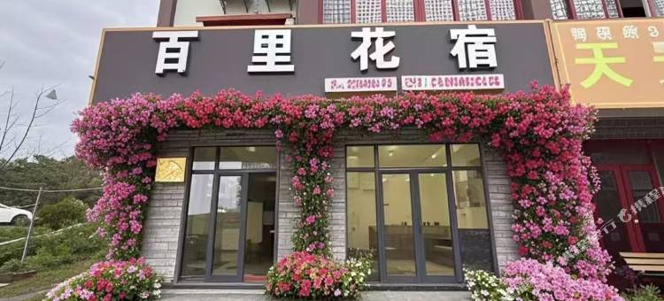 百里杜鹃百里花宿图片