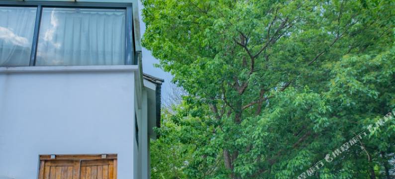 欢雀国际青年旅舍(博爱门店)图片