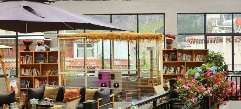 花语·猫咖供氧设计师民宿(香格里拉独克宗古城店)图片