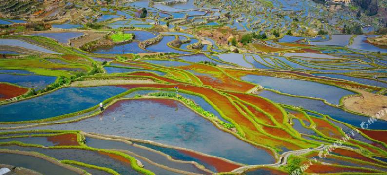 元阳田园慕歌·sightsee·日出观景精品民宿图片