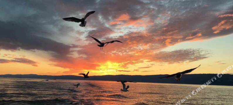 南澳南岛HOME公寓图片