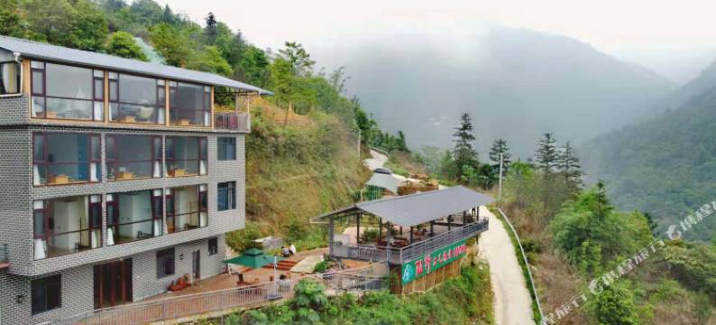 上林陌野六毛杨舍图片