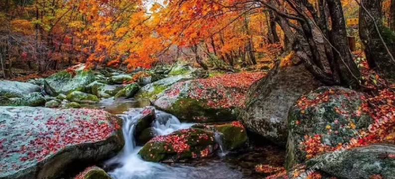 本溪县金湖农家院图片