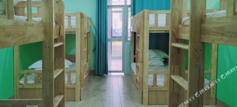 白头叶猴公寓图片