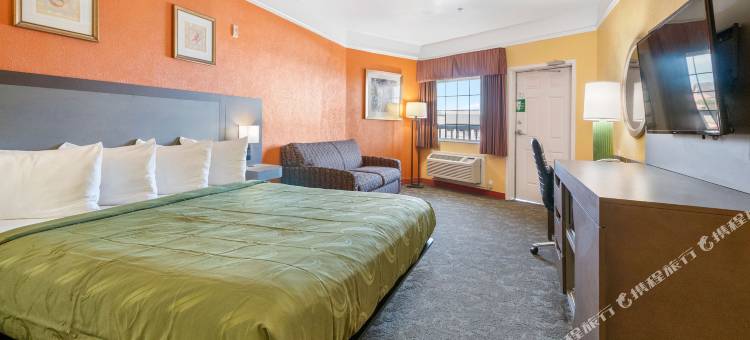 加尔维斯顿海滨品质套房酒店(Quality Inn & Suites Galveston - Beachfront)图片