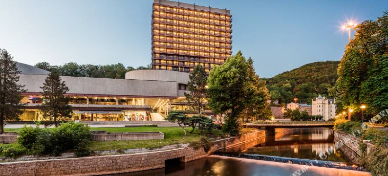 酒店温泉(Hotel Thermal)图片