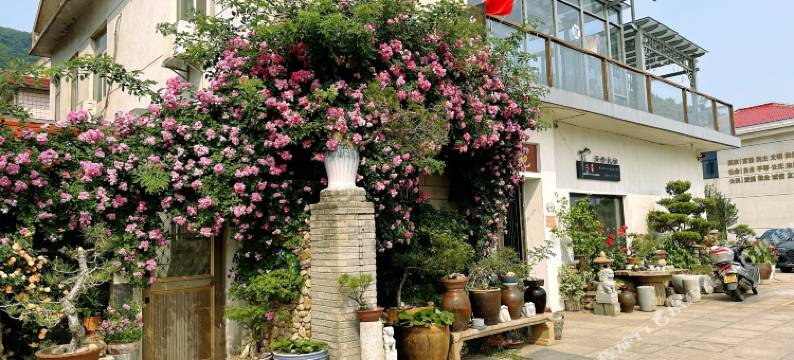 连云港茶香民宿图片