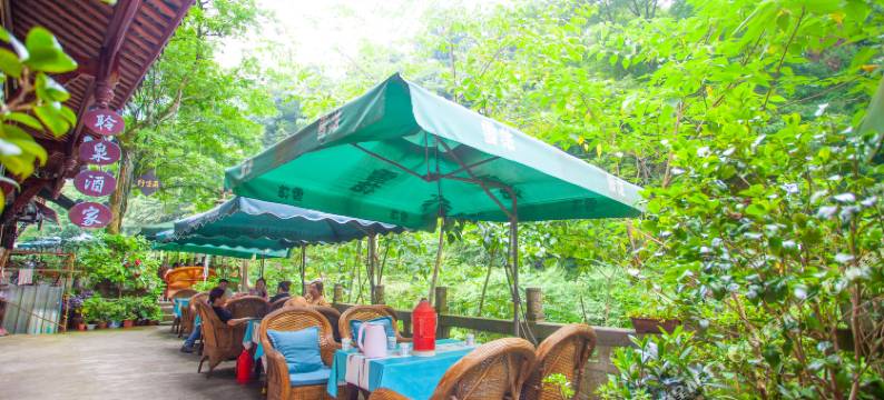 都江堰聆泉酒家民宿(青城山后山店)图片