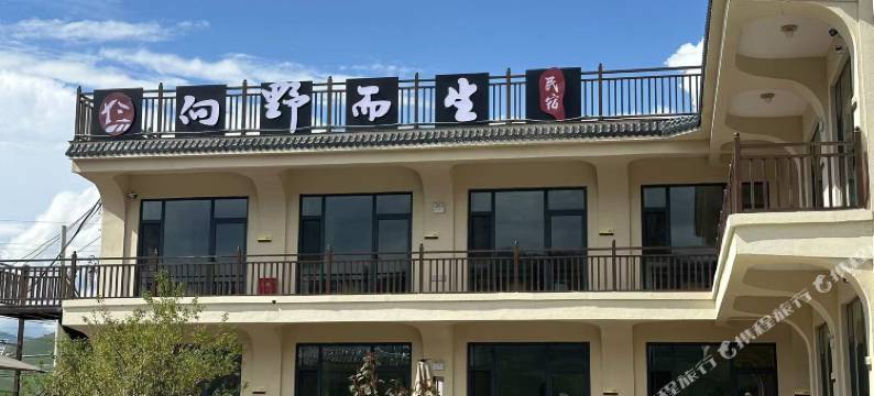 向野而生民宿(那拉提草原店)图片