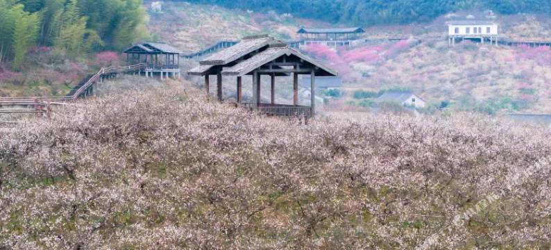 花筑·一湖清梦山景Villa·亲子度假庭院(西塞山旅游度假区店)图片