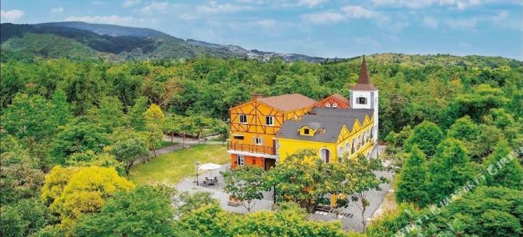 布鲁克森林图片