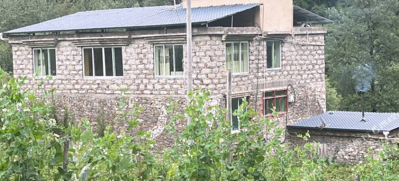 四姑娘山林溪雅舍民宿(双桥沟景区店)图片