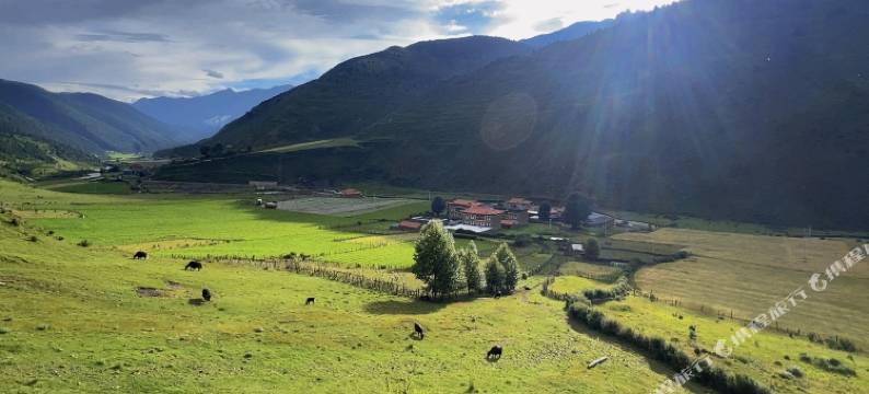郎甲仓民宿(子梅垭口店)图片