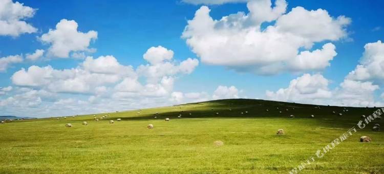 梦曦阁客栈(大山包景区店)图片