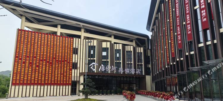 青川唐家河熊猫酒店图片