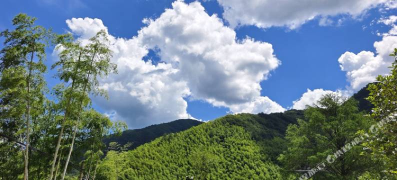 安吉童仁阁民宿图片