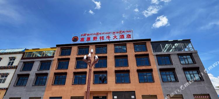 曲麻莱高原野牦牛大酒店图片