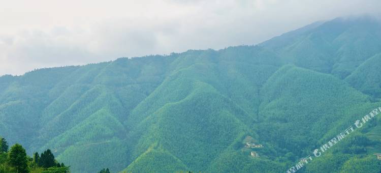 拾竹民宿(信宜马安竹海旅游区店)图片