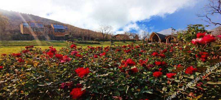 河北翠屏山迎宾馆图片
