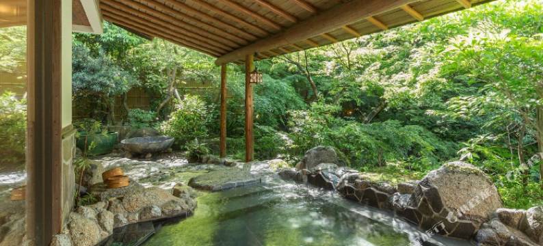 秋月温泉料理旅馆-清流庵(Akizuki Spa Ryokan Seiryuan)图片