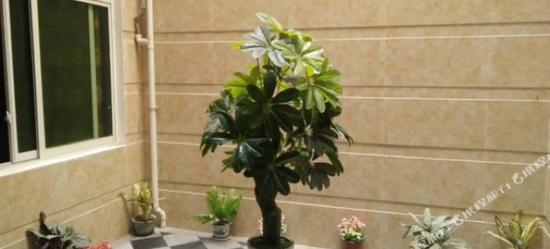 逸都商务宾馆图片