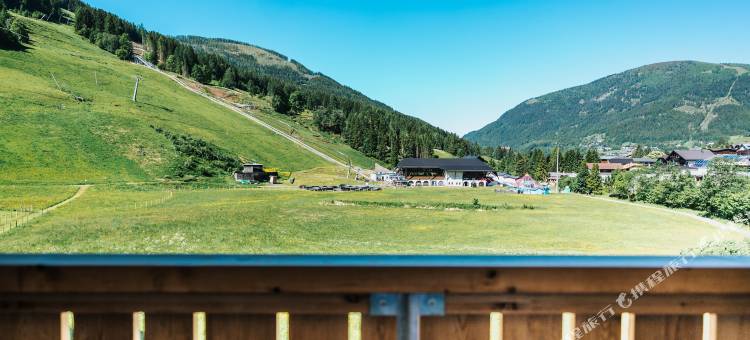 巴德克莱恩基希海姆库伊阿尔卑斯酒店(COOEE alpin Hotel Bad Kleinkirchheim)图片