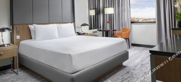 布拉格希尔顿酒店(Hilton Prague Hotel)图片