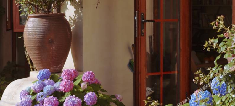 嵊泗大鱼海塘民宿图片