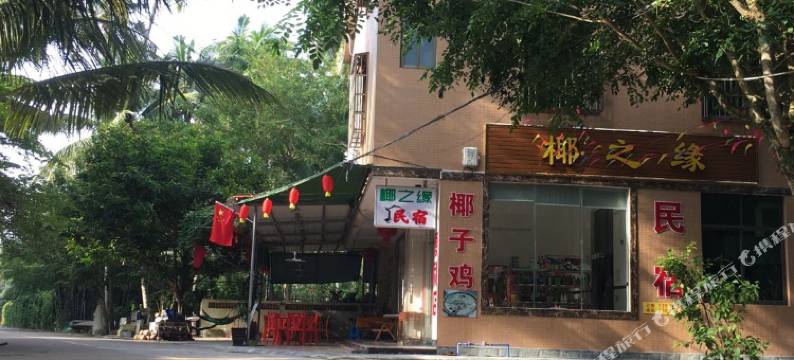 椰之缘民宿图片
