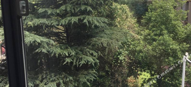 季季红宾馆(铜陵万达广场店)图片