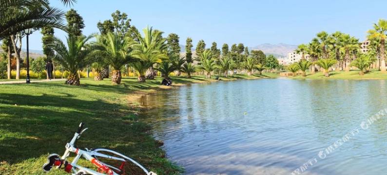 弥勒红河树影青年旅舍图片