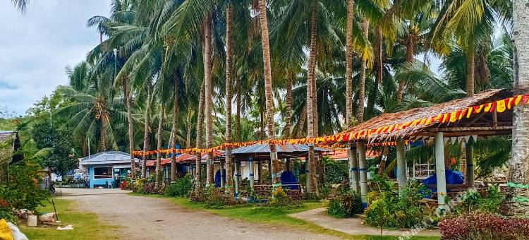 红多兹酒店@圣安东尼海滩度假村(RedDoorz @ St. Anthony Beach Resort)图片