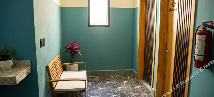 Hotel Casa Jima Agave图片