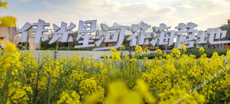 罗平伟光星河花海营地图片