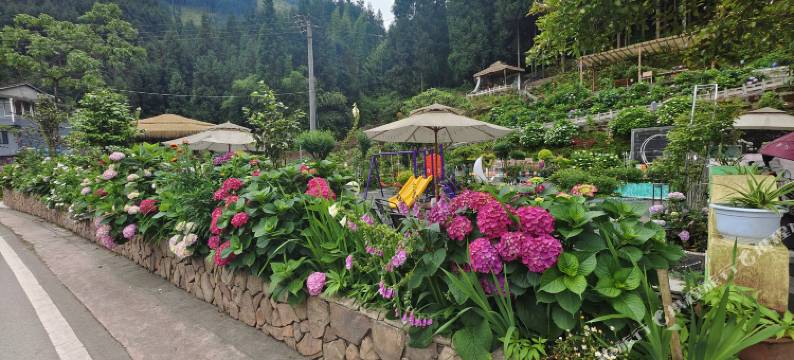 花辰月夕民宿(雅女湖店)图片