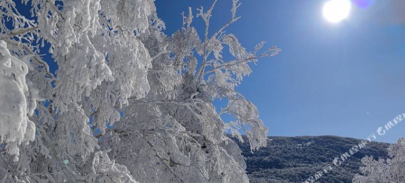 雪谷丁子涵时尚家庭旅馆图片