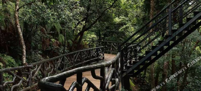 仙居月隐云宿(神仙居游客中心店)图片