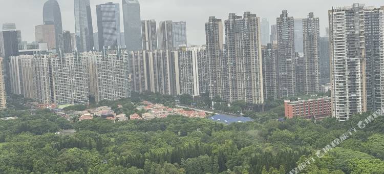伊莲·萨维尔公寓(广州珠江新城潭村地铁站店)图片