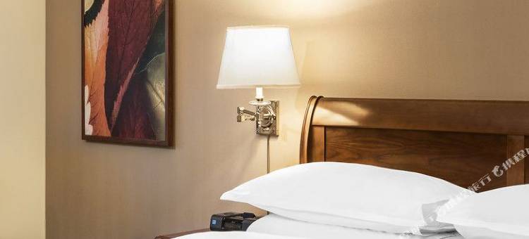 爱迪生喜来登酒店(Sheraton Edison)图片