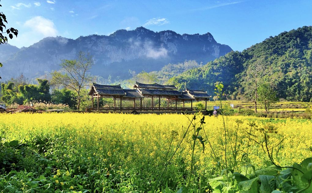 guangnan bamei moxi innHotel Overview