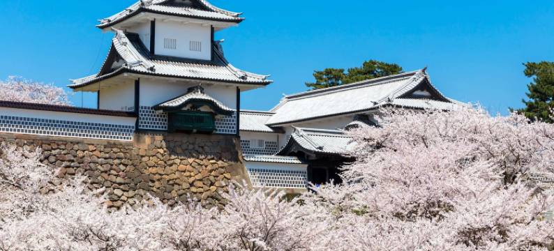 金泽新大酒店PREMIER(Kanazawa New Grand Hotel Premier)图片