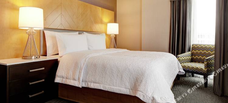 布鲁克林市中心希尔顿欢朋酒店(Hampton Inn Brooklyn Downtown)图片