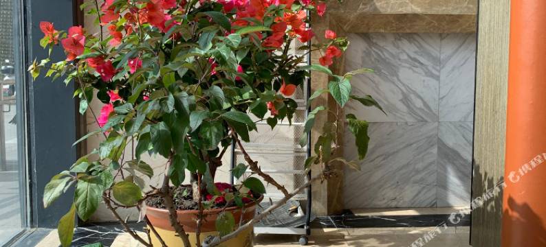 安庆煜烽酒店图片