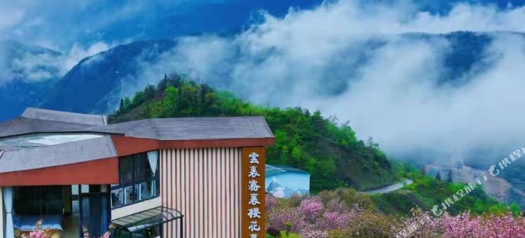 云里雾里樱花里民宿图片