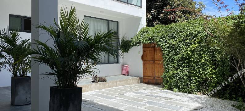 大理清尘私享客栈图片