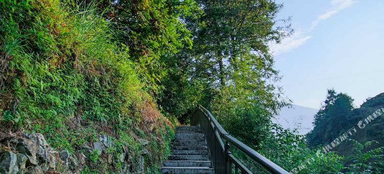 龙脊观景台酒店(千层天梯店)图片