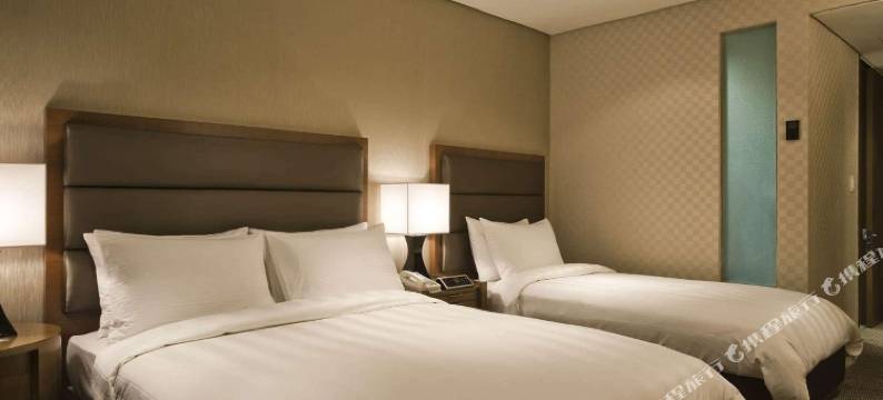 麻浦乐天城市酒店(LOTTE CITY HOTEL MAPO)图片